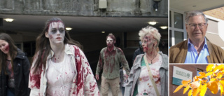 Gnesta – bästa kommunen för att överleva zombieapokalypsen