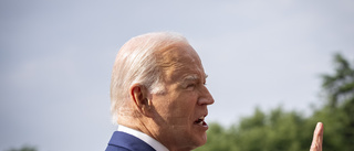 Biden: "Paria"-Putin förlorar Ukrainakriget