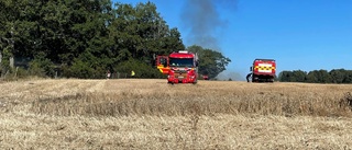 Räddningstjänsten: Gräsbranden i Klinga nu släckt