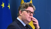 Deltagande i terrorgrupper ska kriminaliseras