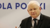 Antityska toner i polsk politik oroar