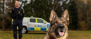 Knarkexpert blir årets polishund
