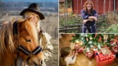 Siri Gustafsson: "Julen är helt underbar men kan också vara komplicerad och kaotisk" • Lokala författarna hoppar på trenden – ger ut julromaner på samma förlag