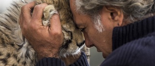 Utrotningshotad gepardunge död i Iran