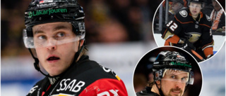Avslöjar: Här är backarna Luleå Hockey vill värva