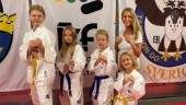 Familjen Cronhielm tröttnade på pendlandet – startade egen taekwondoklubb i garaget: "Kan lika gärna representera oss själva"