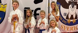 Familjen Cronhielm tröttnade på pendlandet – startade egen taekwondoklubb i garaget: "Kan lika gärna representera oss själva"