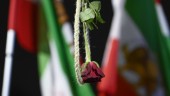 Iranska HD avvisar överklaganden av dödsdomar