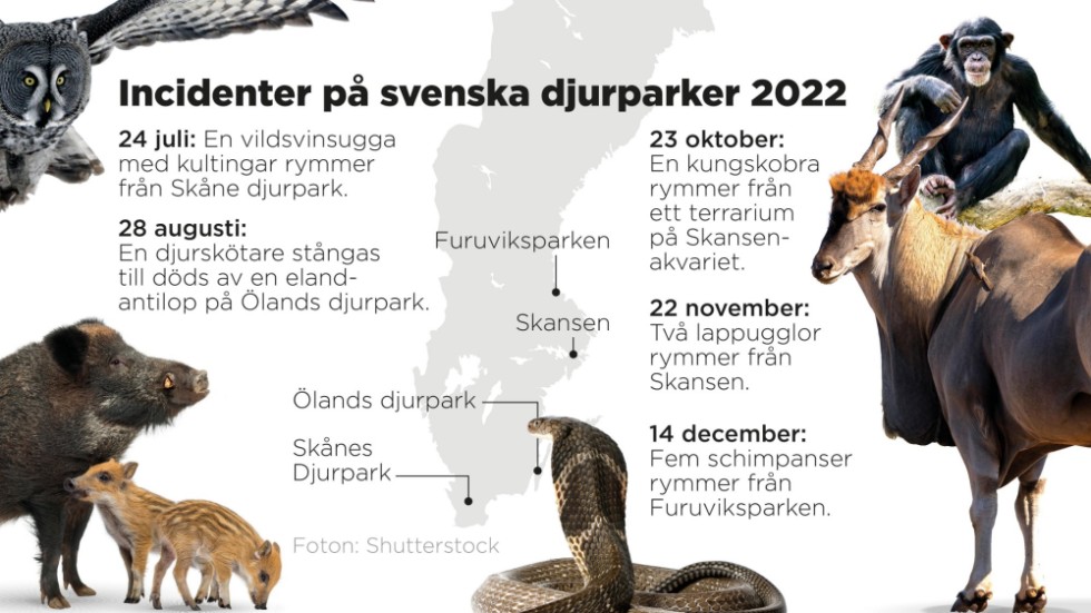 Incidenter på svenska djurparker 2022.