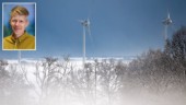 Vindkraftspark planeras en kilometer från centrala Robertsfors • Siktar på 300 meters maxhöjd: ”Det är inte omöjligt”
