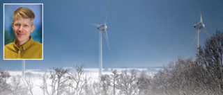 Vindkraftspark planeras en kilometer från centrala Robertsfors • Siktar på 300 meters maxhöjd: ”Det är inte omöjligt”