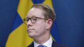 Billström: Nej till ungerskt Nato-utspel