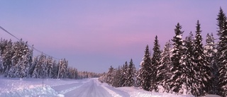 Läsarbilden: Vacker vinterhimmel längs Bastuselvägen 