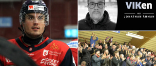 Veckans HockeyVIKen har släppts • Rökdebatten • Domarinsatsen mot Djurgården: "Han var värst" • Så ska VIK ersätta Edmondson