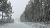 Meteorologen om snöchanserna i Vimmerbytrakten • "Svårt att säga hur omfattande"