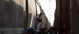 Fem migranter funna döda i tågvagn