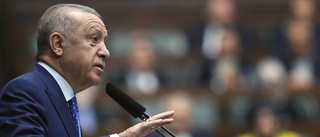 Ensam Erdogan i kamp för sin överlevnad