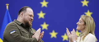 Ukraina får flankstöd i EU