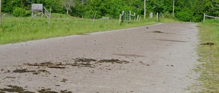 Sätt upp elstängsel längs väg vid Tinnerö