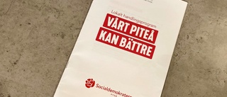 Här är Socialdemokraternas 74 vallöften