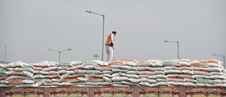 Indien stoppar export av vete