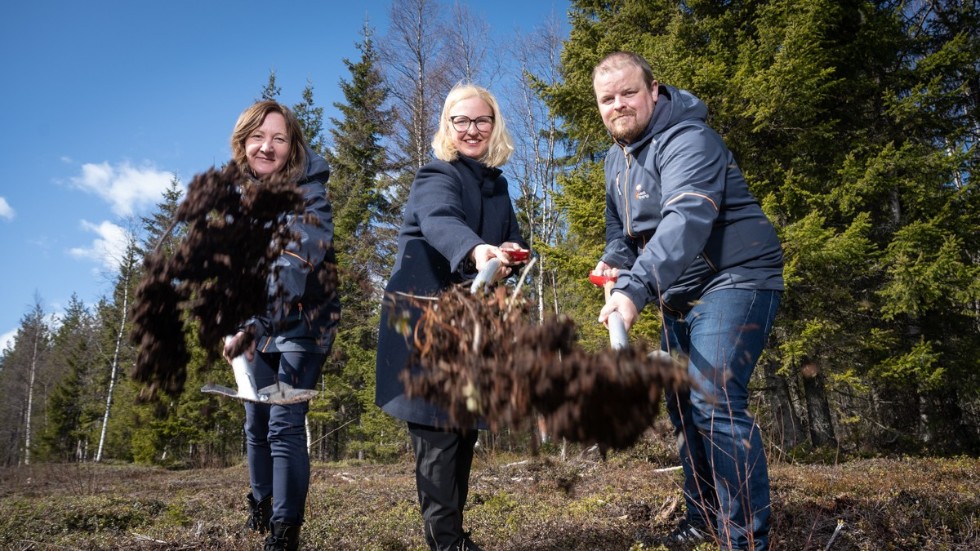 Malin Larsson, VD Luleå Energi, Carina Sammeli, Kommunalråd och Jens Lundqvist, styrelseordförande Luleå Energi.