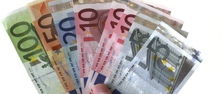 ”Euron skulle kunna tjäna oss väl”