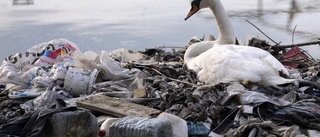Manar till samarbete i kampen mot plasten