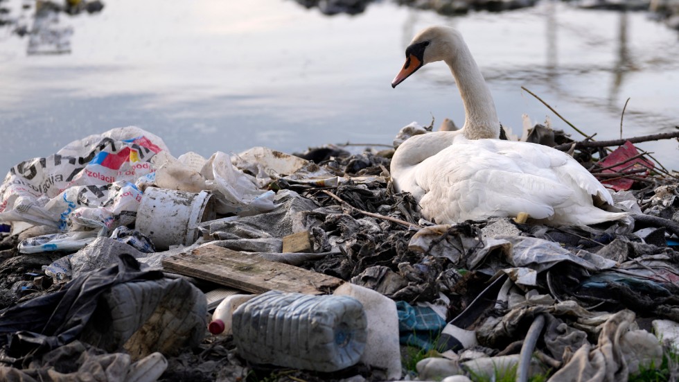 Plast är ett stort problem i världen. Arkivbild.