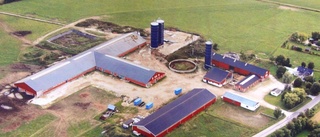 KLART: Stora mjölkgården i konkurs – 54 miljoner i skuld