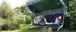 Hammocken återuppstår