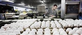Allvarliga brister på äggpackerier