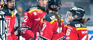 Luleå Hockey vann – efter drömöppning