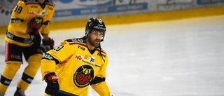 Luleå Hockey klar med backarna: "Absolut toppklass"