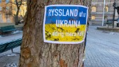 Sjunde manifestationen: "Håll ut för Ukraina"