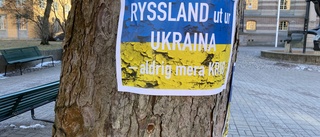 Manifestationer för Ukraina   