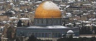 Krutdurken Palestina