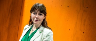 "Åsa Romson bör besöka myggplågan"