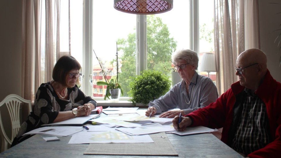 Ingrid Hogman samt Anita och Lennart Nilsson har länge varit kritiska mot projektet vid det gamla vattentornet.