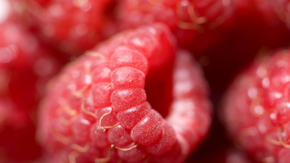 Importerade frysta hallon ska kokas i en minut innan servering, för att få bort bakterier som kan orsaka vinterkräksjuka.