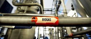 Biogasen viktig