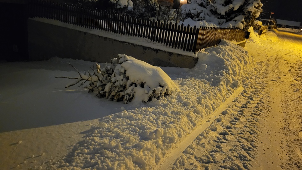 Därefter ute på gatan. "Jag fick pulsa ut i snön för att rädda granen." 