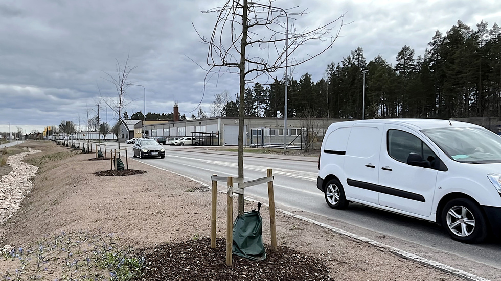 Flera åtgärder väntar på Norra Oskarsgatan i Hultsfred. Arbetet beräknas pågå fram till sommaren.