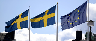 ”Starkare Europa, starkare Sverige, starkare Gotland”