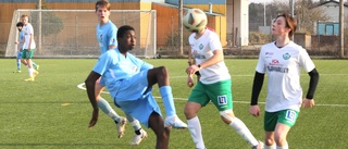 Unga spelare och blytunga tapp – så är läget i Visby Bois