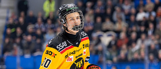 "Spelare som honom finns det inte många av inom svensk hockey"