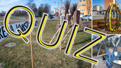 Gör vårt quizz! Vad vet du egentligen om påsken? 