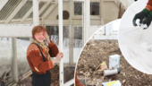 Beat the freeze: Jumpstart your garden with winter sowing
