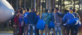 Europa måste fyllas på med flyktingar 