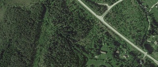 Skog i Hargshamn såld